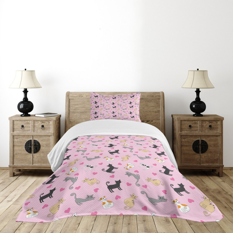 Colorful Different Cats Bedspread Set