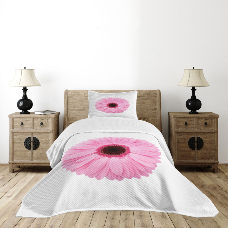 Gerber Daisy Bedspread Set