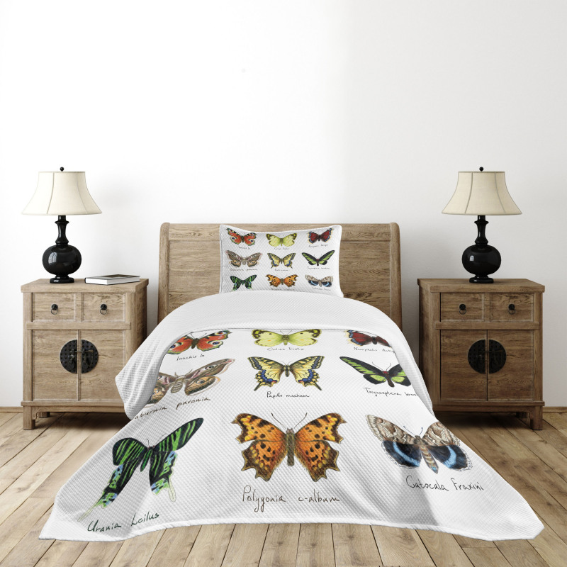 Spring Bugs Pattern Bedspread Set