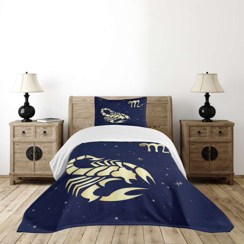 Night Sky Stars Bedspread Set