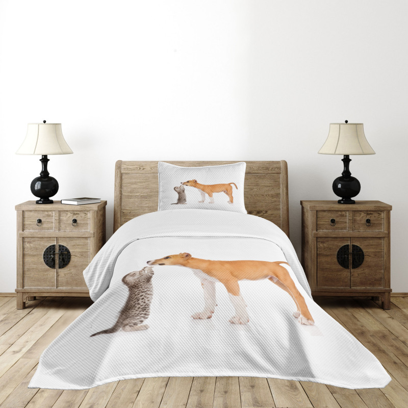 Kitten and a Stafford Puppy Bedspread Set