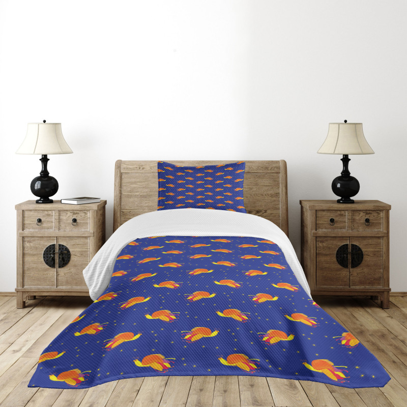 Birds in Starry Night Sky Bedspread Set