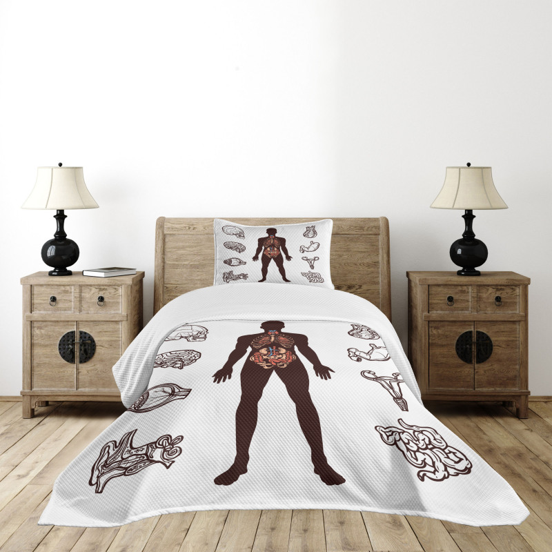 Organs Infographic Image Bedspread Set