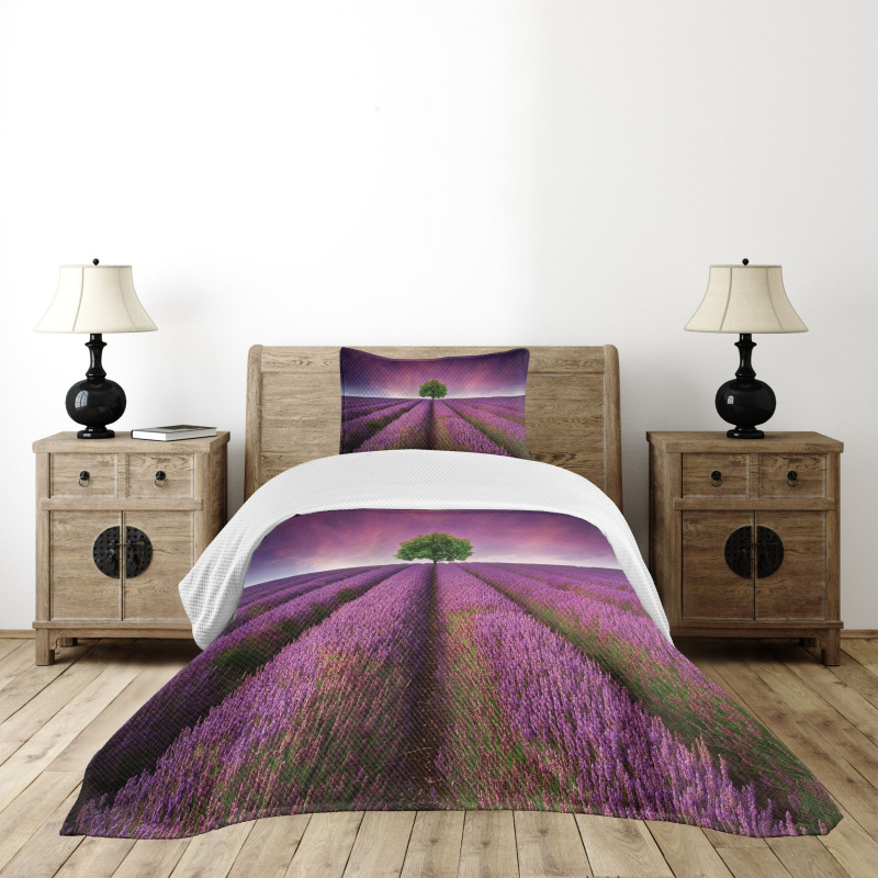 Lavender Fields and Tree Bedspread Set