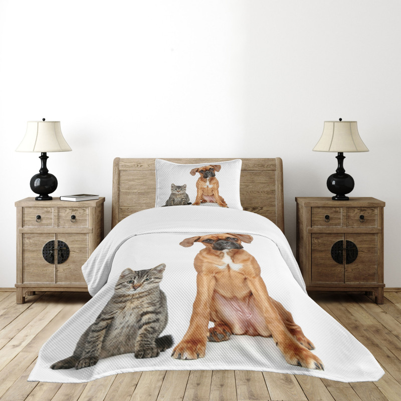Cat Dog Animal Friends Bedspread Set