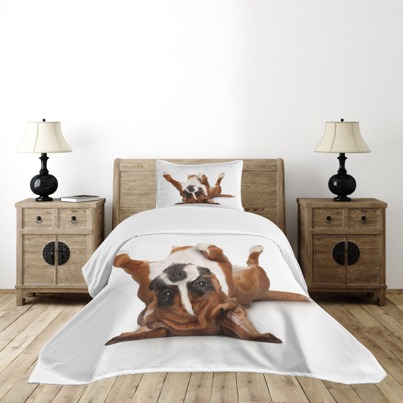 Funny Playful Puppy Image Bedspread Set