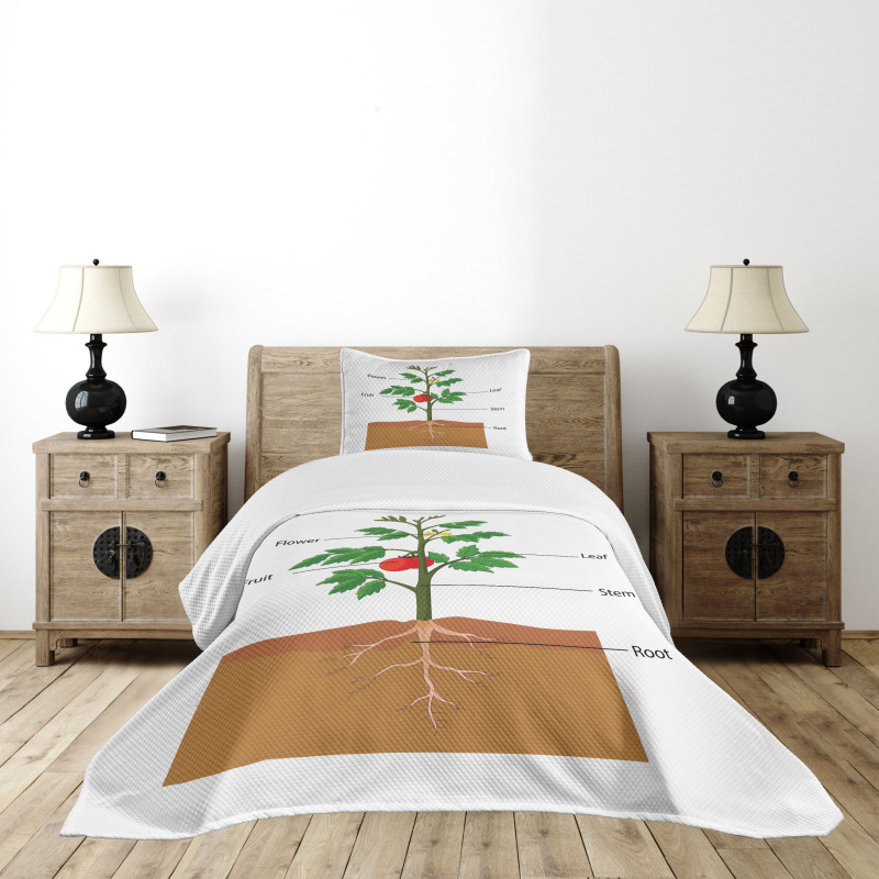 Parts of a Tomato Plant Bedspread Set