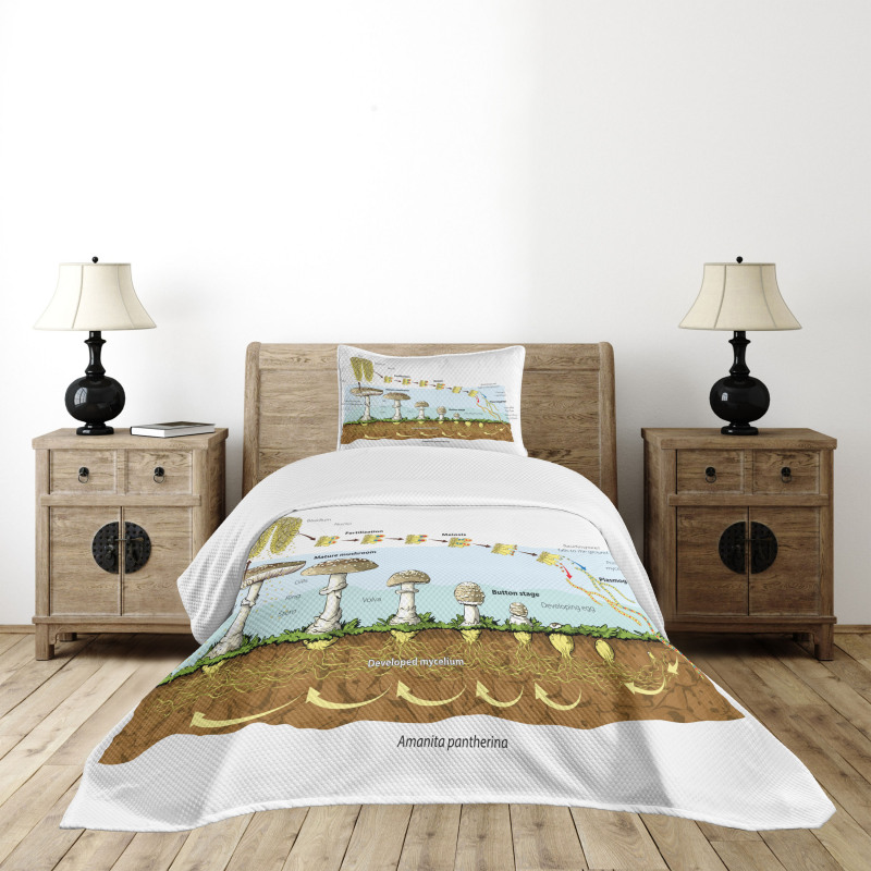 Life Cycle of Mushrooms Bedspread Set