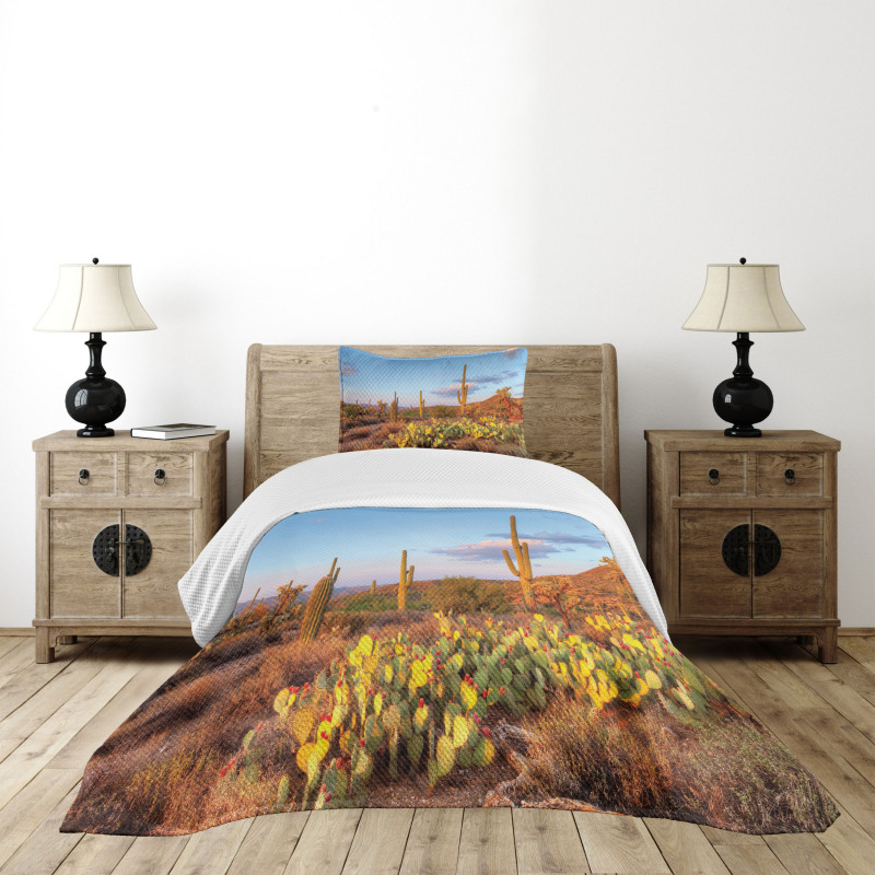 Cacti in Sonoran Desert Bedspread Set