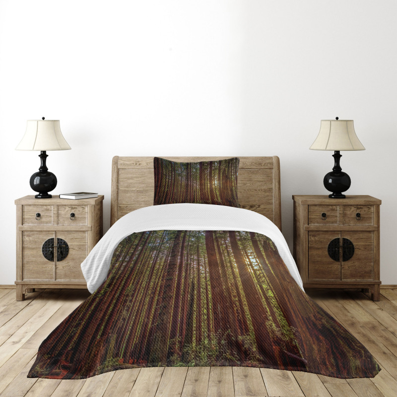 Redwood Forest Park USA Bedspread Set