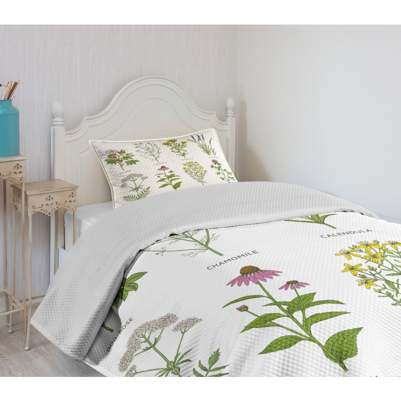 Natural Cosmetics Flowers Bedspread Set