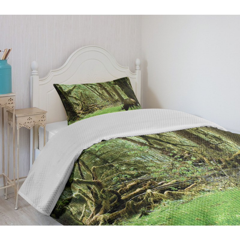 Roosevelt Elk in Park Bedspread Set