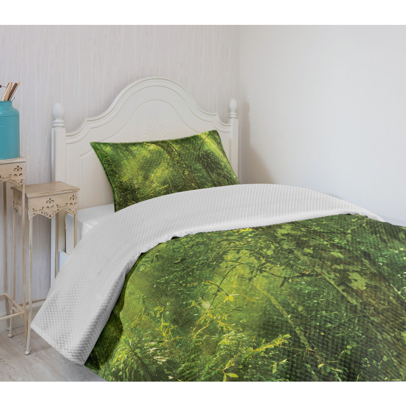 Sun Beams Tropic Forest Bedspread Set