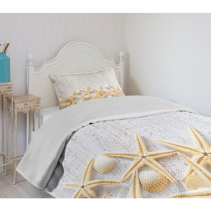 Sea Shells on Timber Bedspread Set