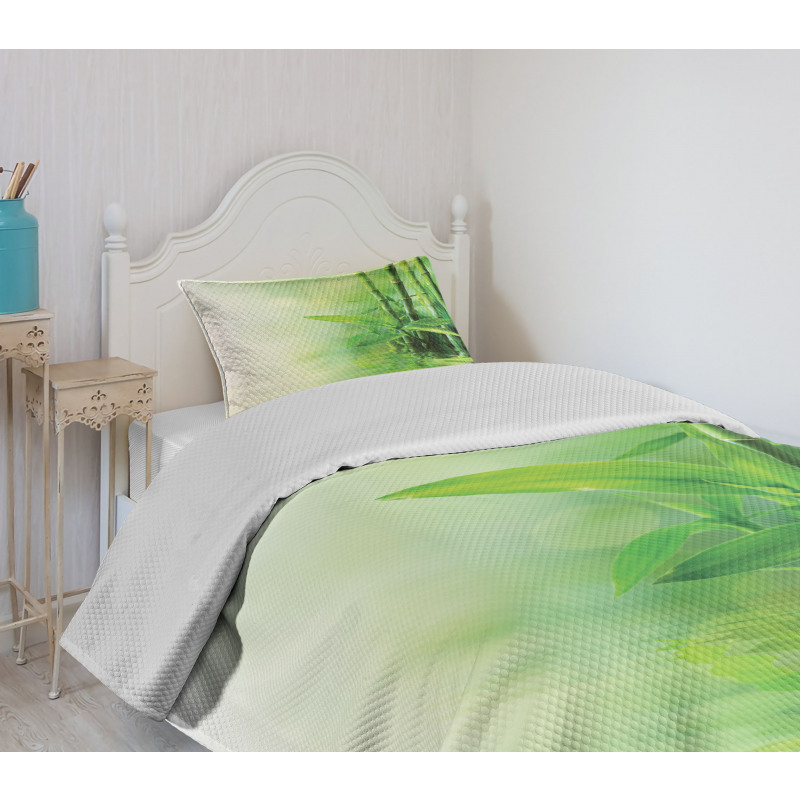 Spa Bamboos Trees Bedspread Set