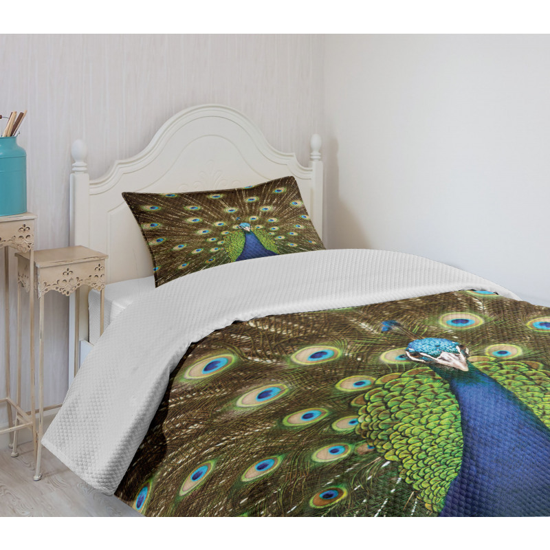 Peacock with Feathers Bedspread Set