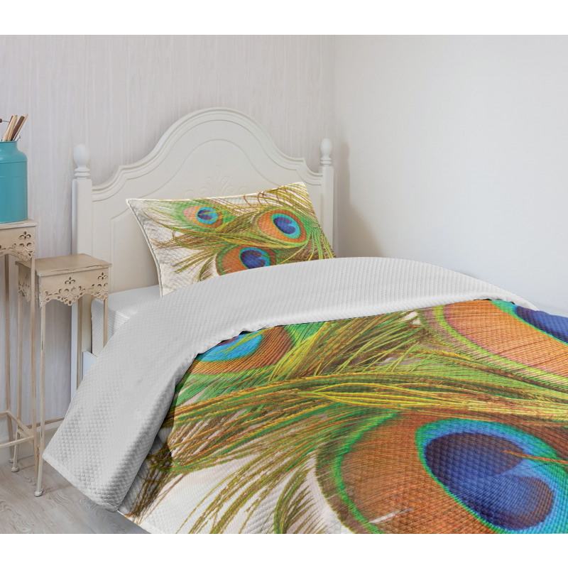 Modern Peacock Feathers Bedspread Set