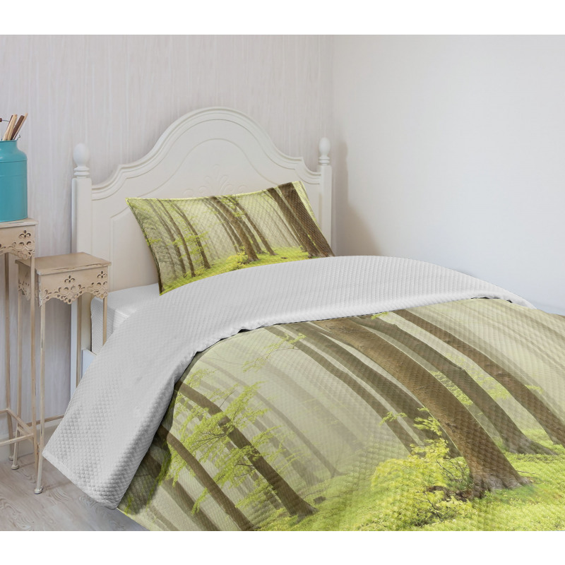 Misty Beech Forest Photo Bedspread Set