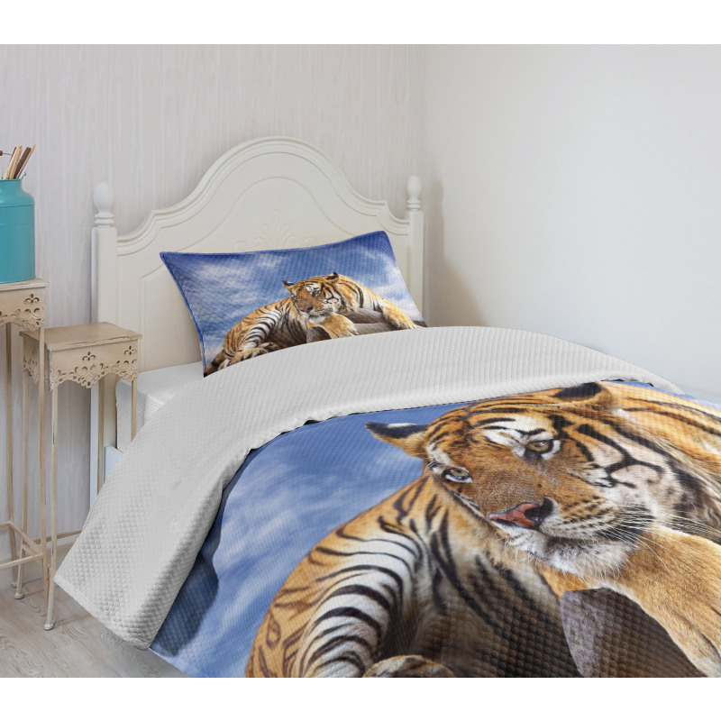 Tiger on Wood Wildlife Bedspread Set