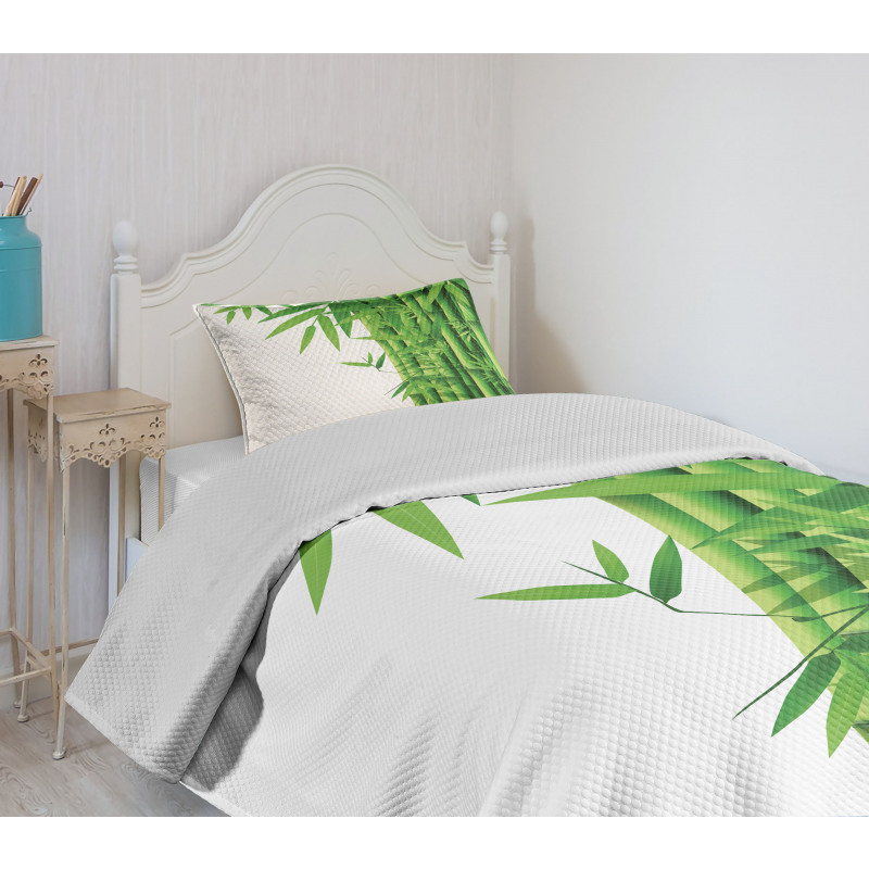 Modern Bamboos Stems Bedspread Set