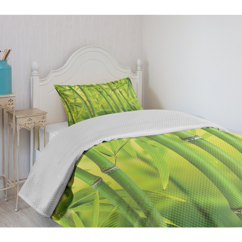 Bamboo Sprout Stem Forest Bedspread Set