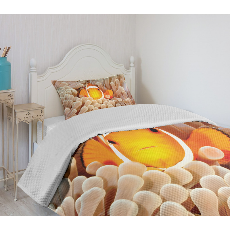 Bali Indonesia Fishes Bedspread Set