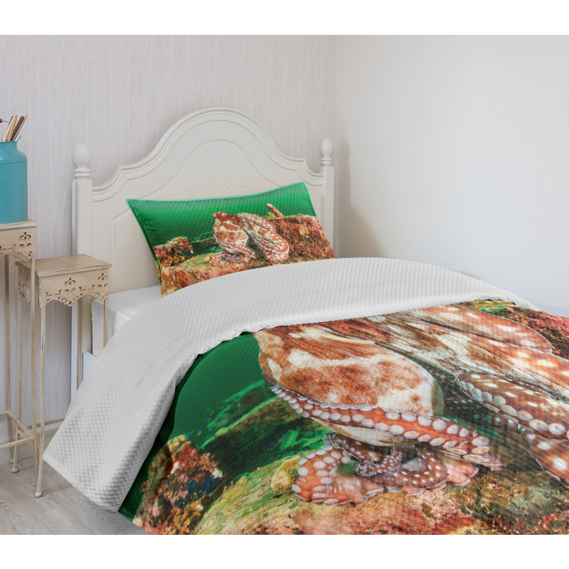 Octopus in Water Bedspread Set