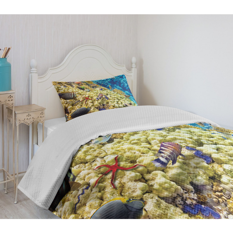 Sea Exotic Natural View Bedspread Set