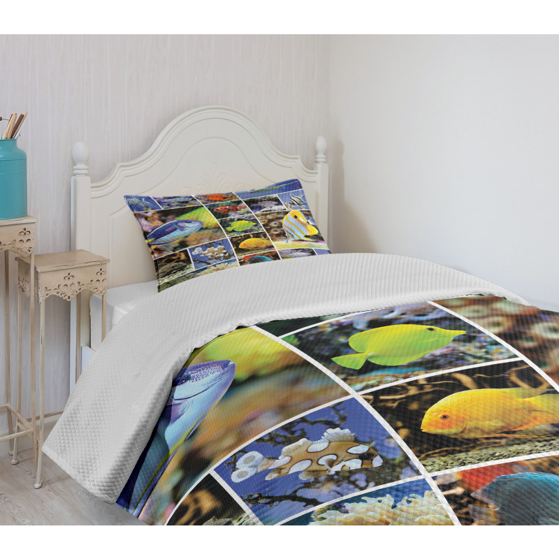 Collage of Underwater Bedspread Set