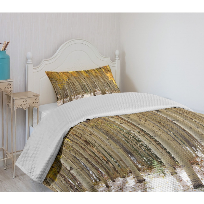 Aspen Tree Woods Scenery Bedspread Set