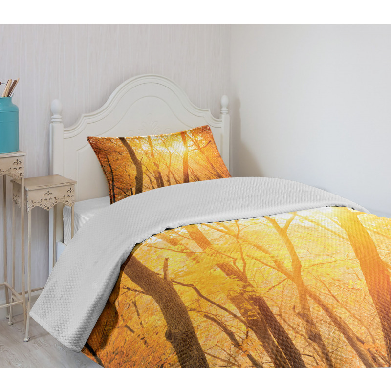 Autumn Forest Branches Bedspread Set