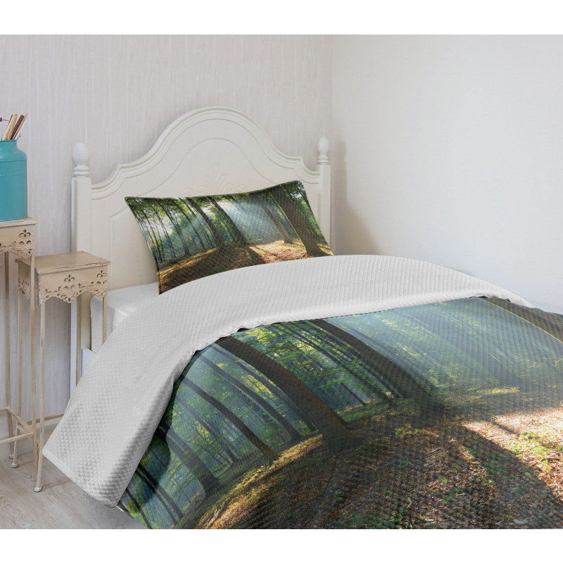 City Park Hazy Morning Bedspread Set