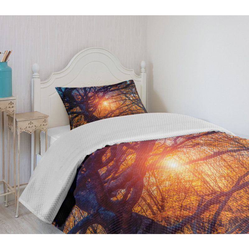 Majestic Trees Woods Bedspread Set