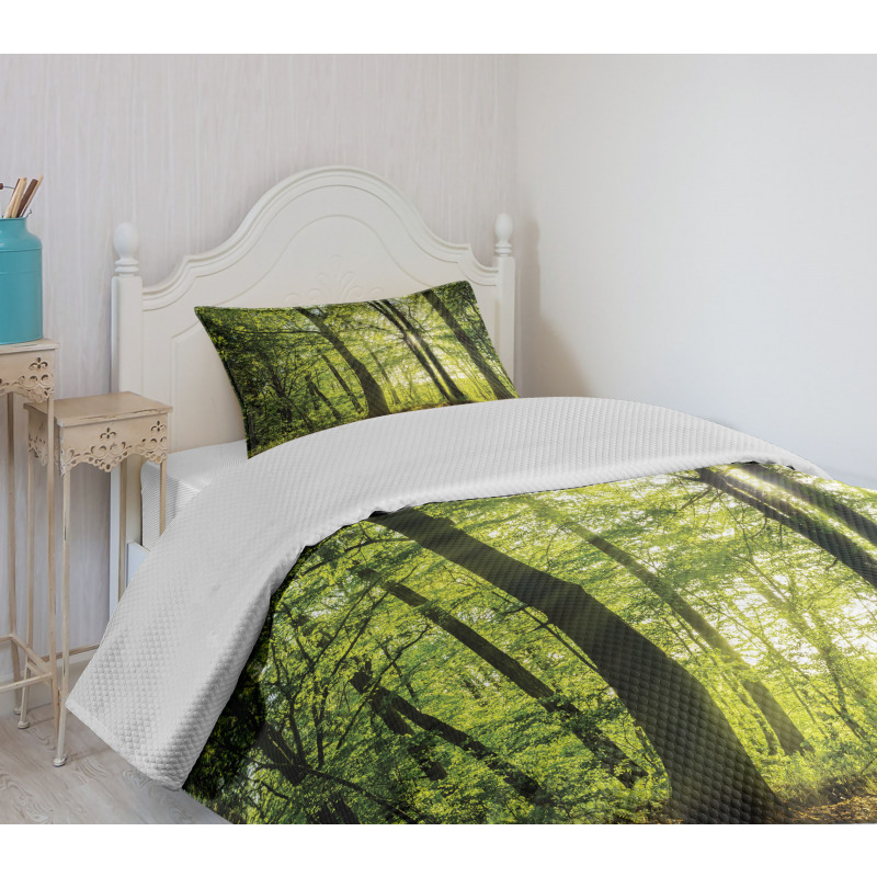 Sunny Forest Springtime Bedspread Set