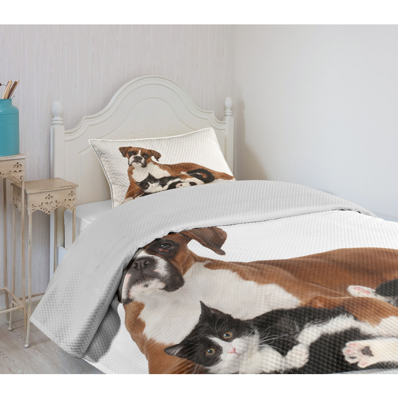 Cat Dog Friends Portrait Bedspread Set