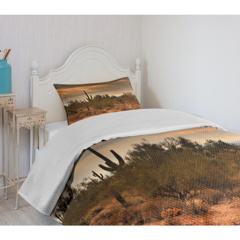 Dramatic Shady Desert Bedspread Set