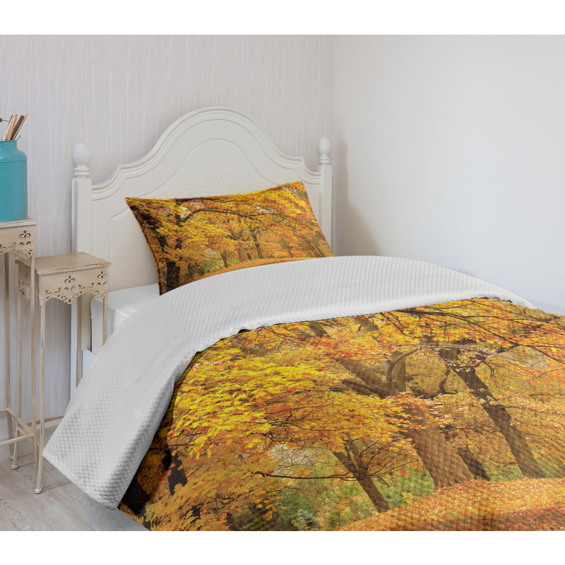 Fall Pale Maple Trees Bedspread Set