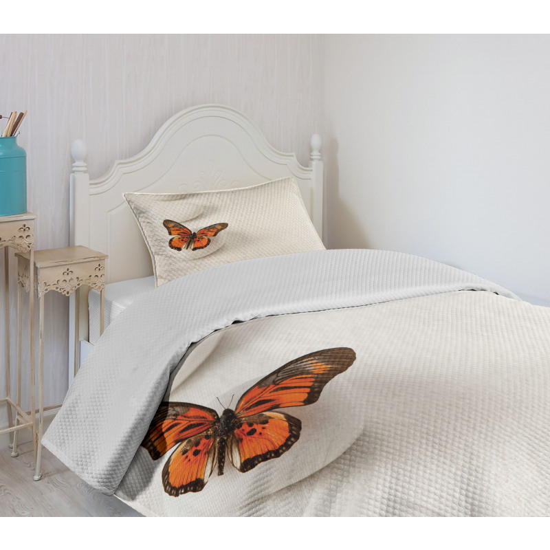 Butterfly Rocks Healing Bedspread Set