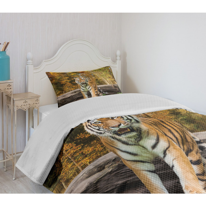 Tiger in Forest Bedspread Set