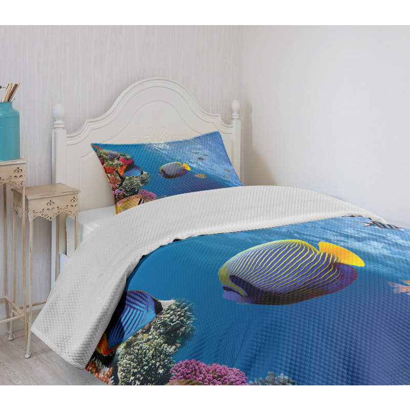 Underwater Fish Sea Bedspread Set