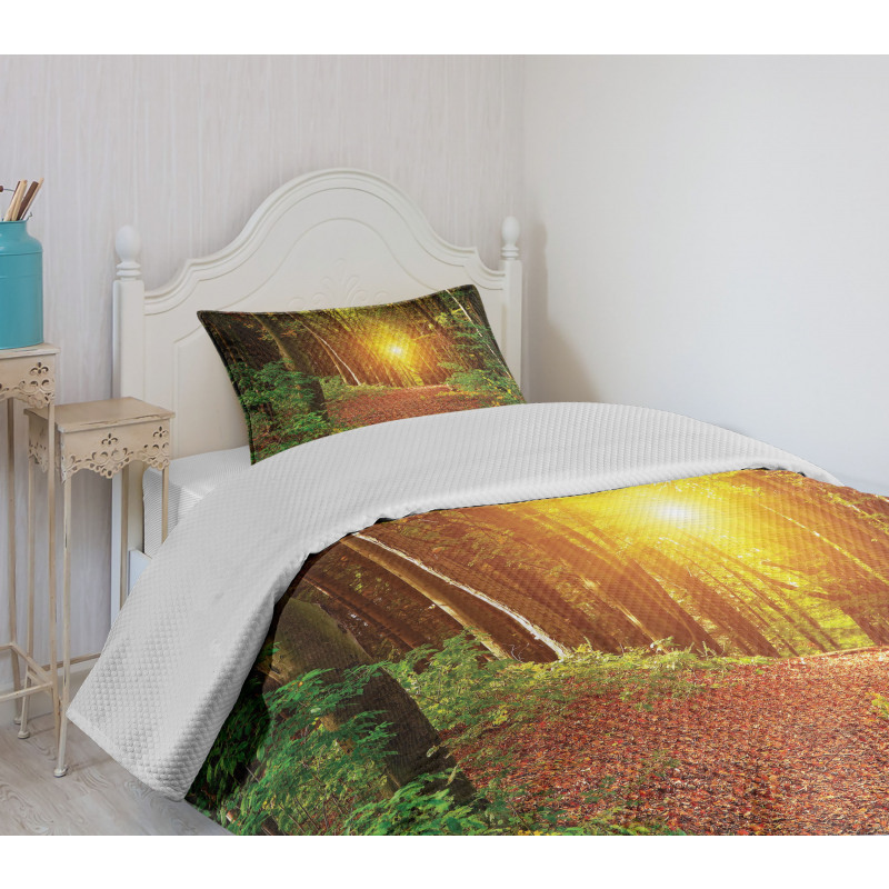 Pathway to Timberland Bedspread Set