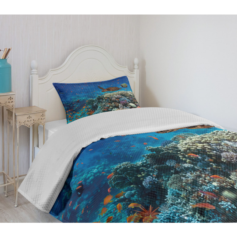 Tropical Turtle Water Bedspread Set