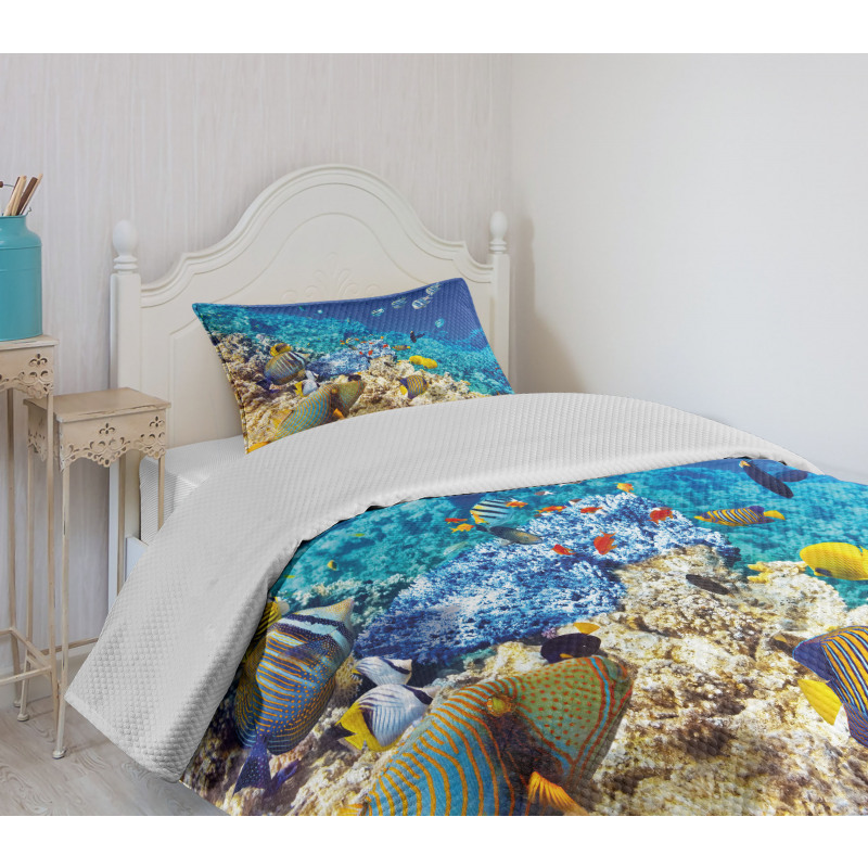 Aquatic Corals Bedspread Set