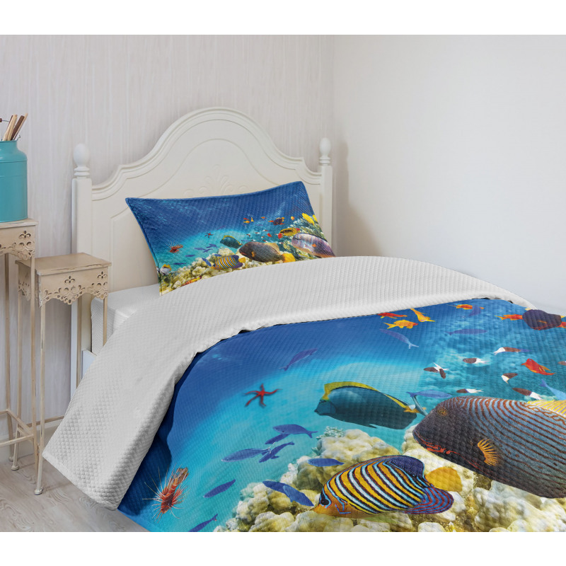 Ocean Animals Bedspread Set