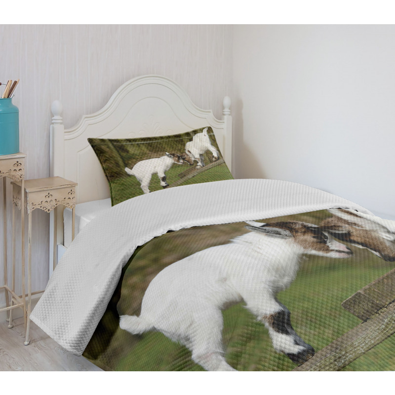 Farm Life with Goats Bedspread Set