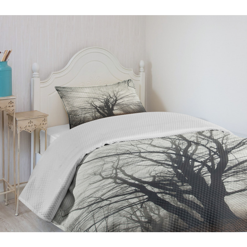 Autumn Tree in Fog Dark Bedspread Set