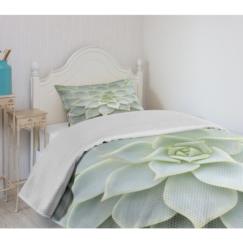 Cactus Flowers Photo Bedspread Set