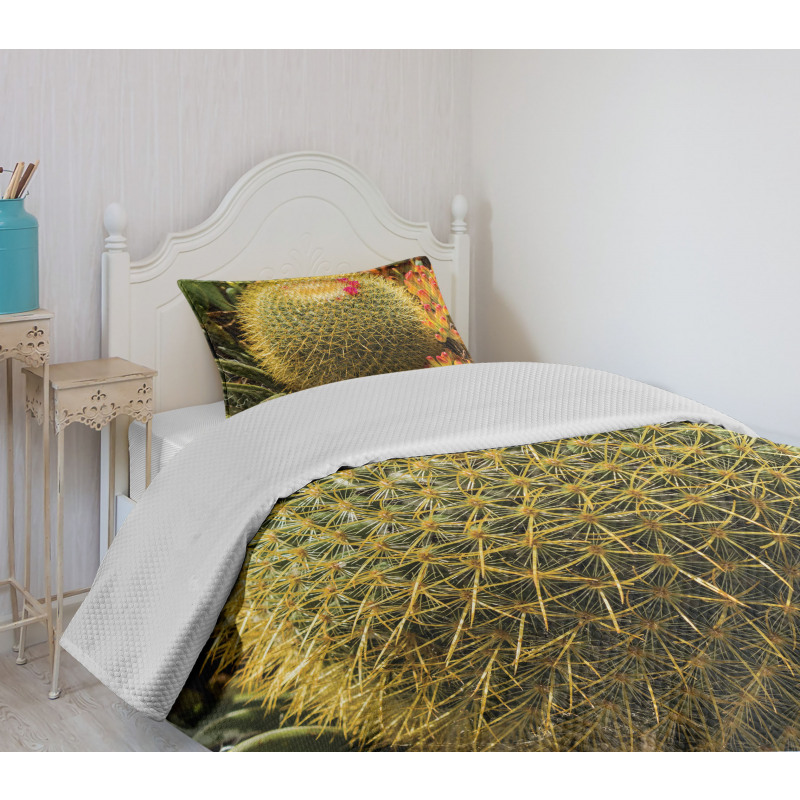 Cactus Plant with Spikes Bedspread Set