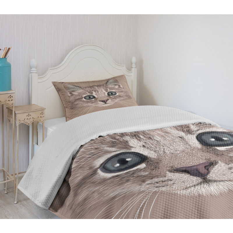 Domestic Cat Face Bedspread Set