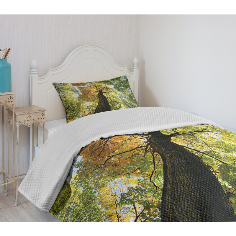 Forest Autumn Growth Eco Bedspread Set